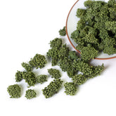 HelloYoung HELLOYOUNG Ginseng Dry Flower Sanqi Tianqi Notoginseng Sanchi Chinese Herbal Tea