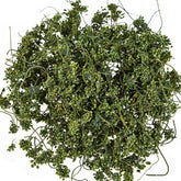 HelloYoung 125g China Dried Panax Ginseng Ginseng Flower Herbal Tea Pure Nature Herbs Drink