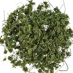 HelloYoung 125g China Dried Panax Ginseng Ginseng Flower Herbal Tea Pure Nature Herbs Drink