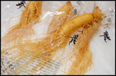 10 Pcs Fresh Ginseng Root Herbal Pren Optimal Health Panax Ginseng Root