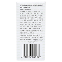 北京同仁堂气管炎丸300粒/瓶 Beijing Tongrentang Qi Guan Yan Wan QiGuanYanWan