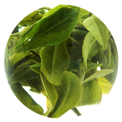 HelloYoung HELLOYOUNG 100g Spring Anji Bai Cha Long Jing White Dragon Well Chinese GREENTEA