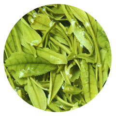 HelloYoung HELLOYOUNG 100g Premium Anji Baicha Baipian White Slice Tea Spring GREEN TEA