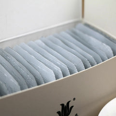 HelloYoung Chinese Fuding White Tea White Peony Bai Mu Dan Biscuit Small Square Brick 100g