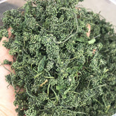 HelloYoung 125g Ginseng Flower Herbal Tea Pure Nature China Dried Panax Ginseng Herbs Drink