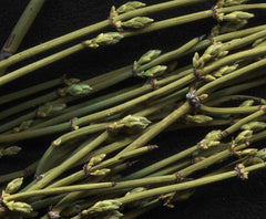 10-4000g Neueste Mo Hang Grüner Tee Natürlicher Kräutertee Freies Verschiffen