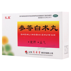 孔孟参苓白术丸 Kongmeng Shenling Baizhu Wan
