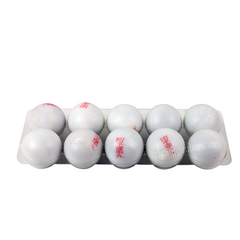 Tongrentang Fu Zi Li Zhong Wan 同仁堂附子理中丸 Tongrentang Fuzilizhongwan