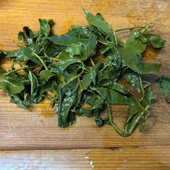 New Tea Mountain Selection Oolong Tea High Mount Oolong Tea 300g* 4