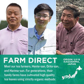 HelloYoung Organic Matcha Green Tea Powder - Authentic Japanese Origin - Premium