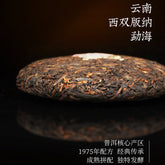 HelloYoung Yunnan Menghai Clasical 7572 Pu-erh Tea DAYI Puerh Ripe Tea Cake 150g 2201