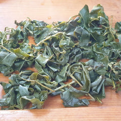 New Spring Dayuling Oolong Tea High Mount Oolong Tea 4 Kinds of Teas 150g