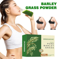 1/3/5PC NEWUREHO Pure Organic Barley, Barley Grass Powder 100% Pure