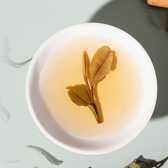 HelloYoung CHINATEA Fujian White Tea Bai Mu Dan Pai Mu Tan Tea White Peony Tea 100g Tin