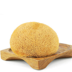 100% Organic Natural Dried Lion's Mane Mushroom Herbs Healthy Care 500g/1.1LB