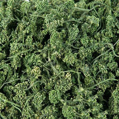 HelloYoung 125g Ginseng Flower Herbal Tea Pure Nature China Dried Panax Ginseng Herbs Drink