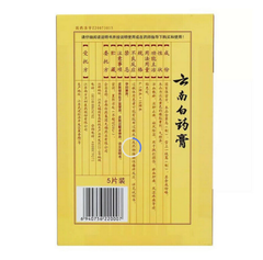 云南白药膏药跌打损伤活血化瘀消肿止痛膏药贴5贴/盒 2盒装YunNanBaiYao Gao Yao Tie Die Da Sun Shang