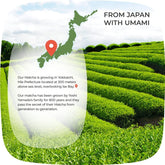 100% Pure Japanese Culinary Matcha Green Tea Powder Organic nonGMO Vegan, 80g