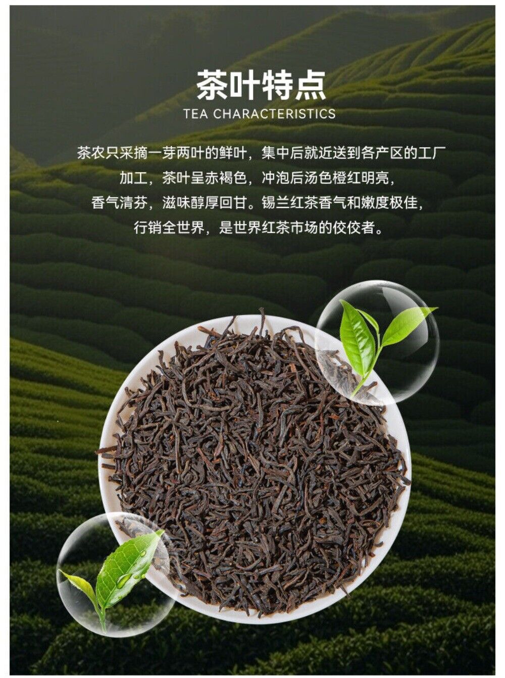 Ceylon Black Tea Bags Premium Sri Lankan Fragrant Strong Blend for Milk Tea
