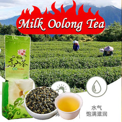 Milk Oolong Tea Organic High Mountain Milk Oolong Tea Loose Leaf Green Milk Tea