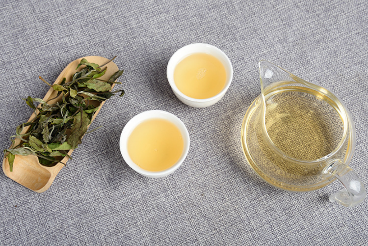 HelloYoung 500g Yunnan white tea early spring ancient Fuding white tea process white tea