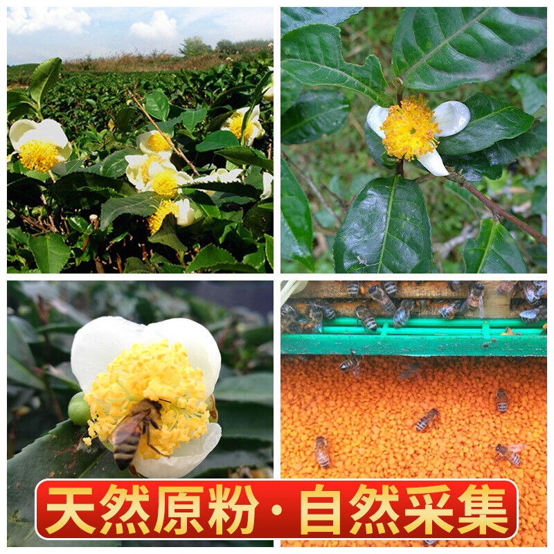 Pu'er Spring Tea Pollen Yunnan Plateau Specialty 200g