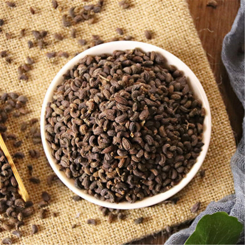 100% Natural Ligustri lucidi Fructus Nv Zhen Zi 女貞子 Organic Herb