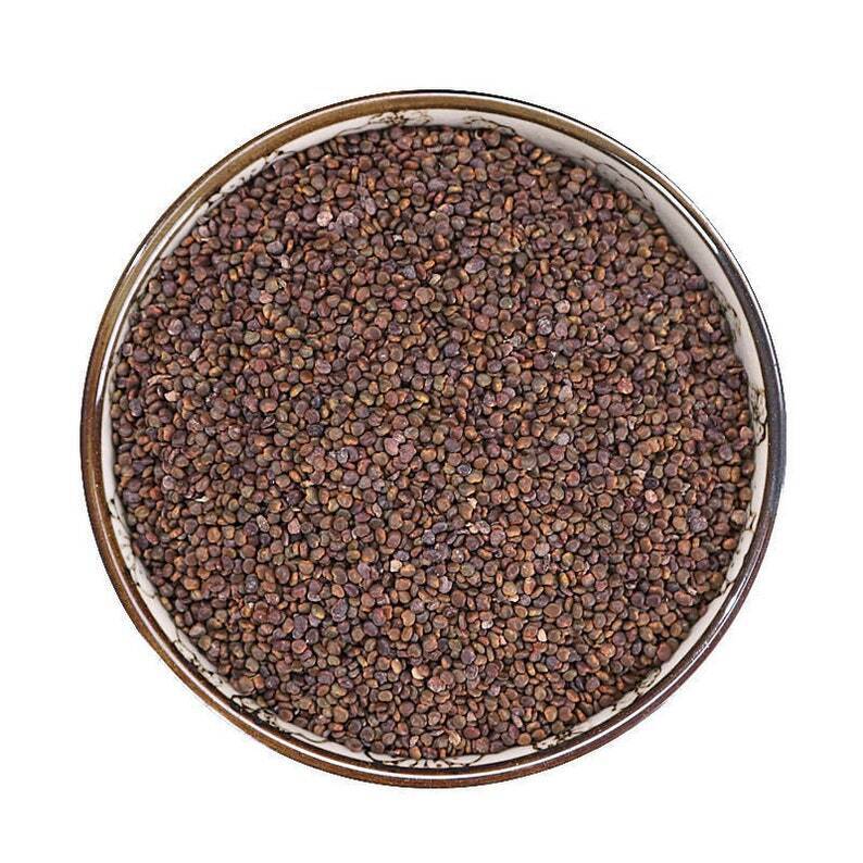 Recommend Organic Flastem Milkvetch Seed, Semen Astragali Complanati Sha Yuan Zi