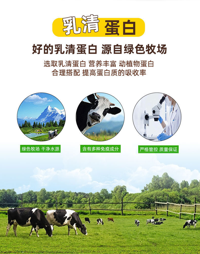Multi-Amino Acid Protein Powder Supplementary Nutrition Enhancement Solid Drinks