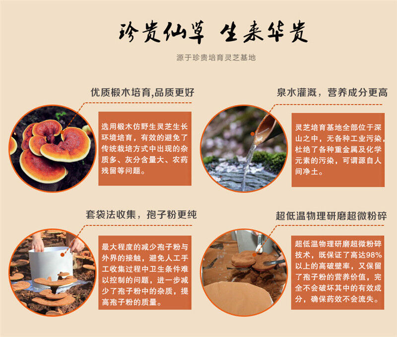 500g Wild Reishi Spore Powder Ganoderma Lucidum Lingzhi Tea Mushroom Herbal Tea