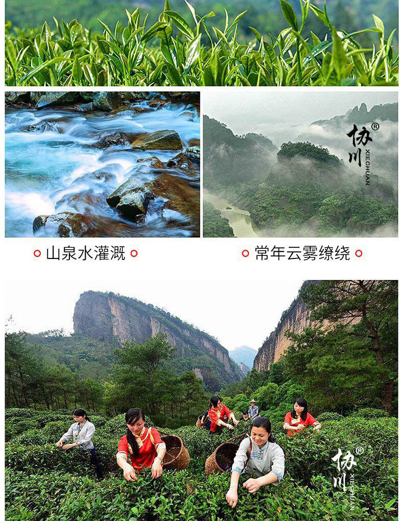 Strong Aroma Dahongpao Tea 500g Spring Tea Oolong Tea Fujian Wuyi Rock Tea
