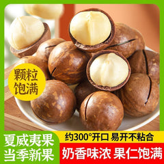 New Macadamia Nuts | Milk Flavor, Large Size, With Shell Opener, Snack