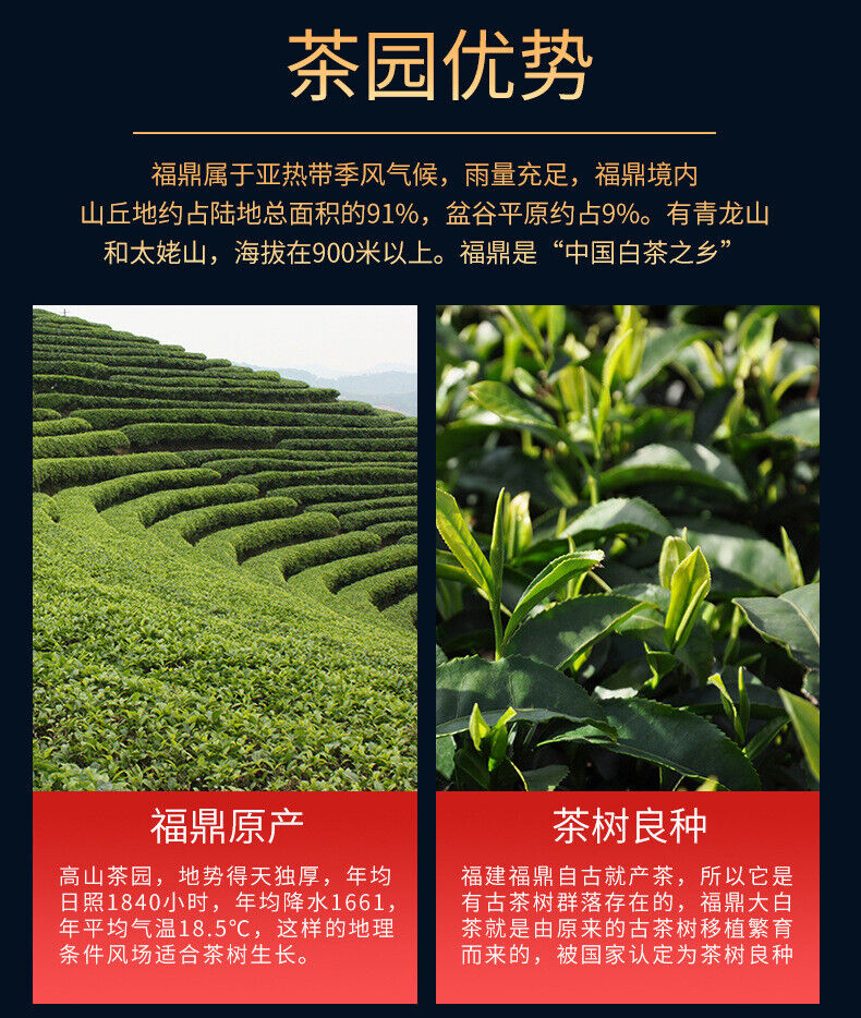 High-grade Double-cake Fuding White Tea Cake Chenpi White Tea Cake Tea Gift Box