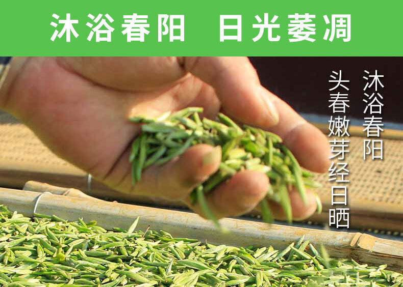 HelloYoung 350g Fuding white tea white peony white tea cake alpine Panxi first spring tea