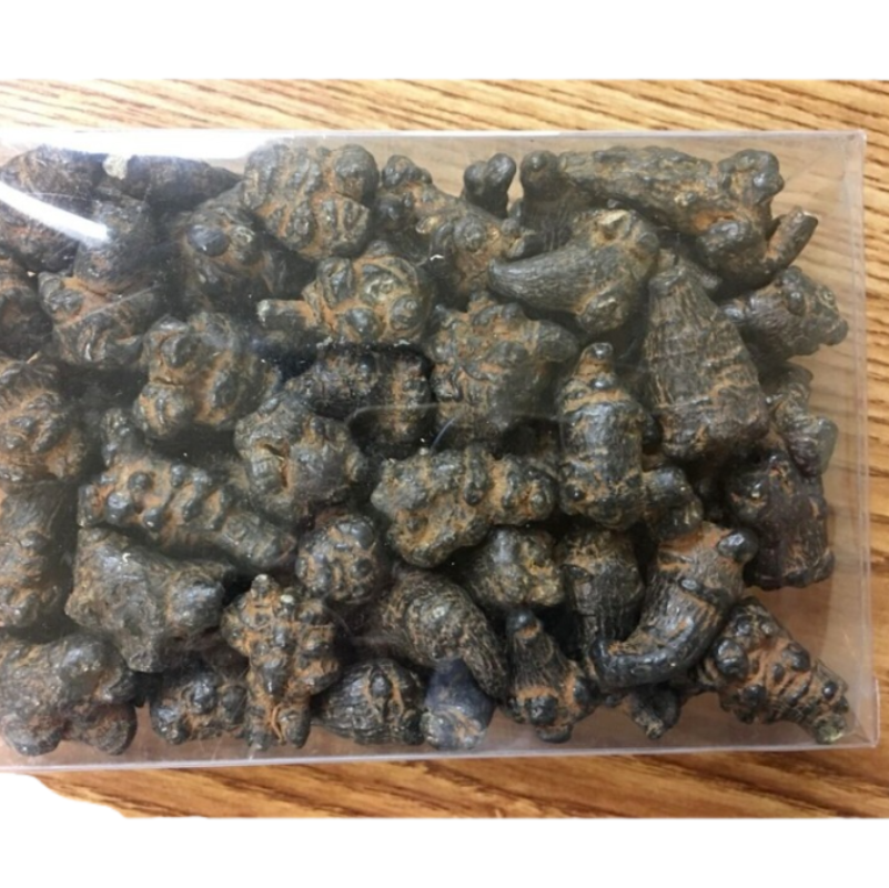 Black Radix Pseudoginseng 黑田七頭500g , good quality and price