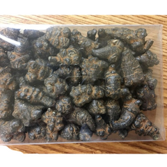 Black Radix Pseudoginseng 黑田七頭500g , good quality and price