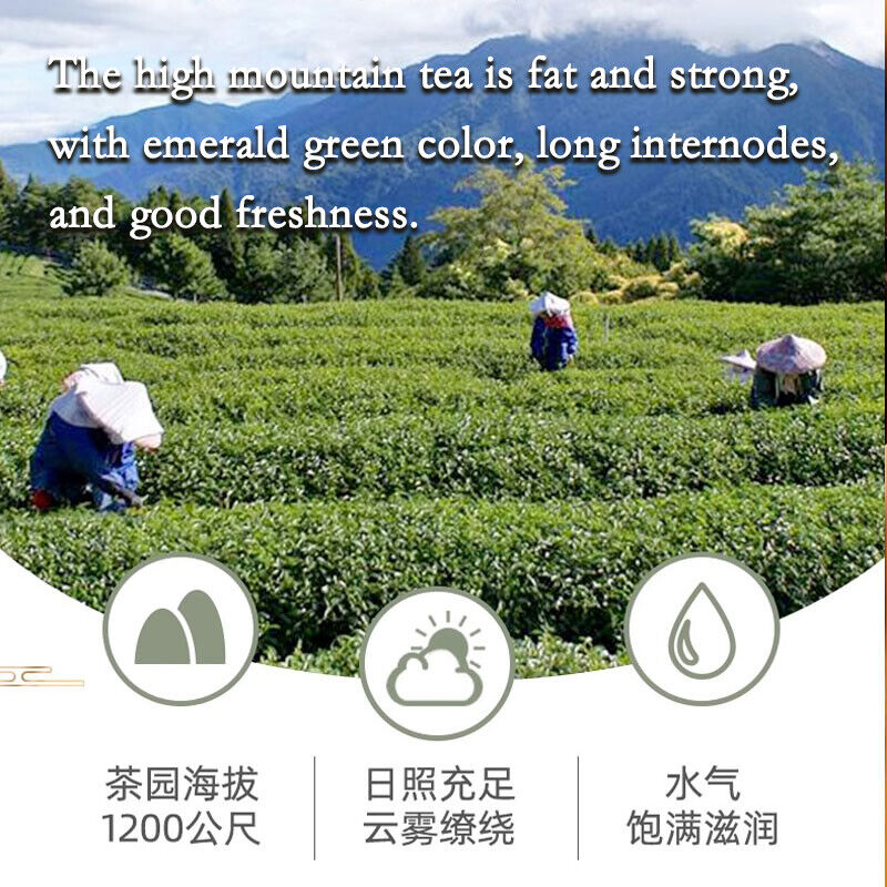 Milk Oolong Tea Loose Leaf Tea Green Tea Organic Jin Xuan or Golden Lily Tea