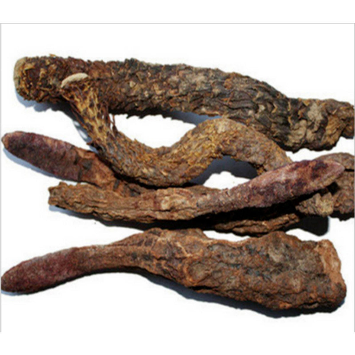 High quality WILD HARVESTED CISTANCHE TUBULOSA 30:1 EXTRACT POWDER 200g