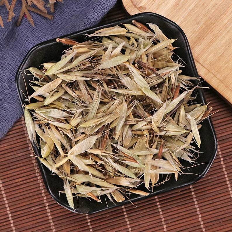 Avena Fatua Yan Mai Cao Premium Organic Herbal Grande Qualité