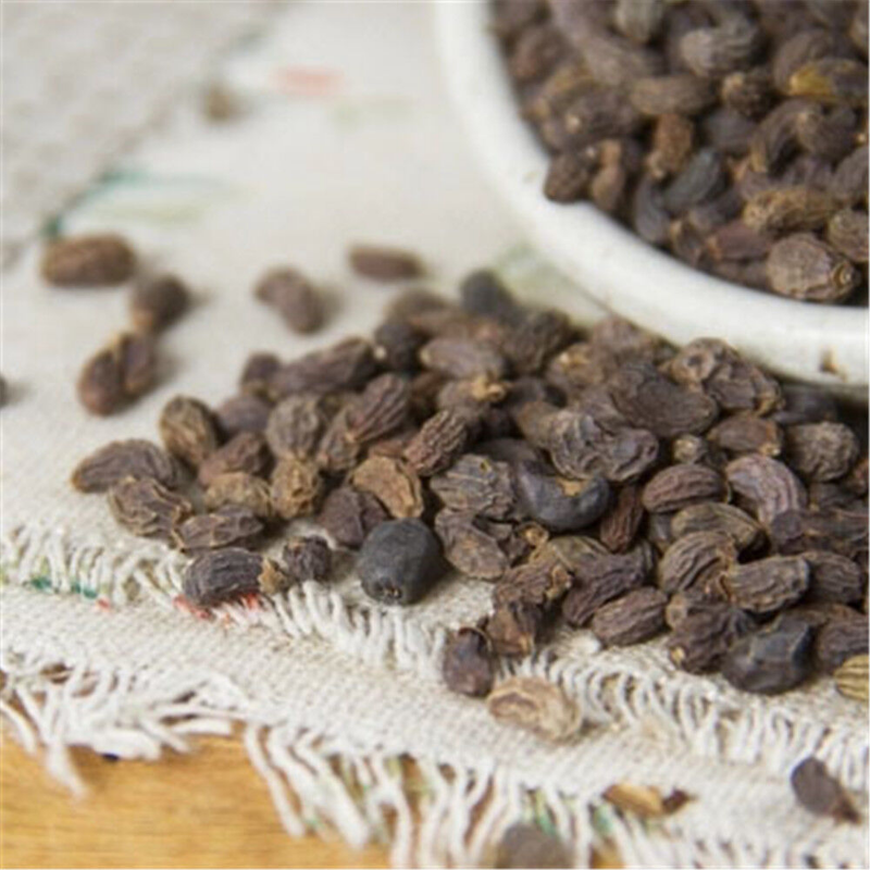 100% Natural Ligustri lucidi Fructus Nv Zhen Zi 女貞子 Organic Herb