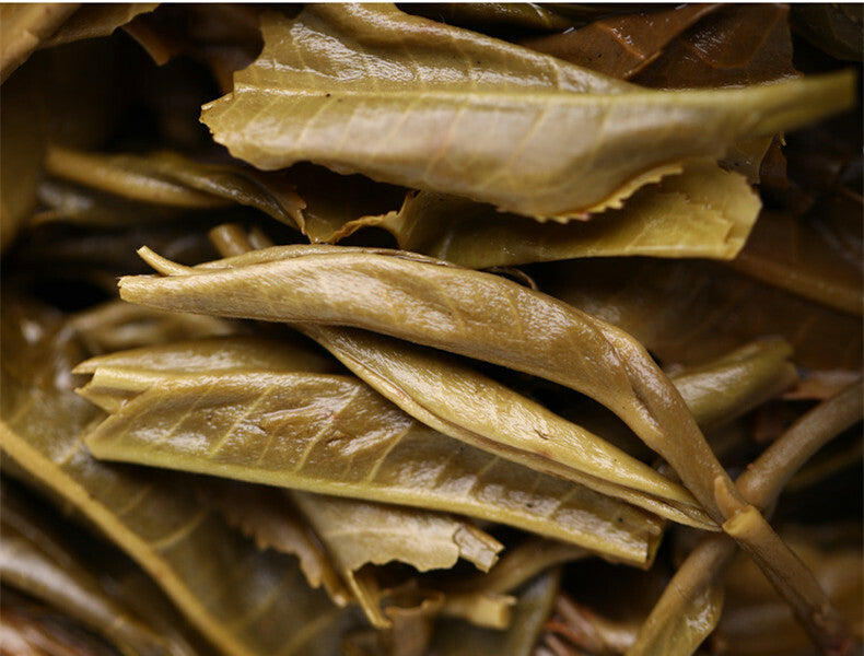 Haiwan High Mountain Ancient Tree 2019 Old Comrade Batch 191 Raw Puer Tea 500g