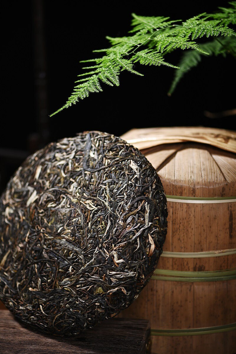 Icelandic Sheng Tea 357g Tea Ma Gu Dao Puerh Tea Cake