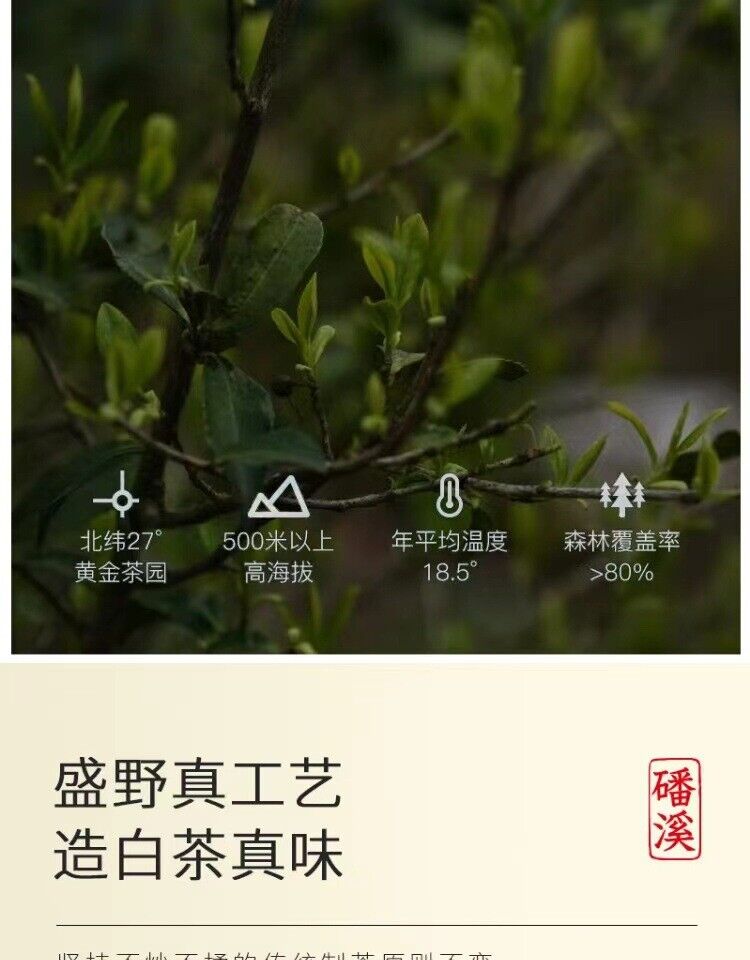 HelloYoung 500g Fuding alpine white tea cake white peony king tea small square cookie tea
