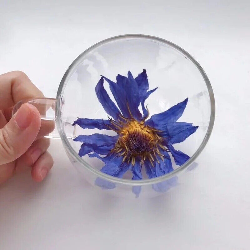 Dried Blue Lotus Flower Tea Blooming Tea Herbal Medicine Bulk Nymphaea 250g