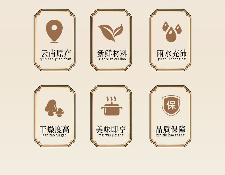 Yunnan Freeze-Dried Morel & Lion's Mane Mushroom Soup Base