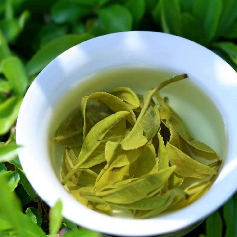 Premium Yunnan Biluochun Top Grade Spring Tea Rich Aroma Loose Leaf