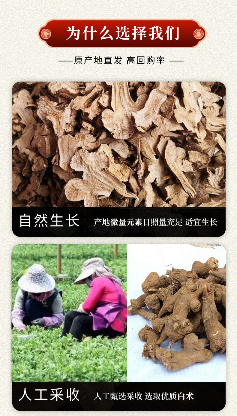 Atractylodes Powder Sulfur-free Chinese Herbs Freshly Ground Powder Bai Zhu 200g