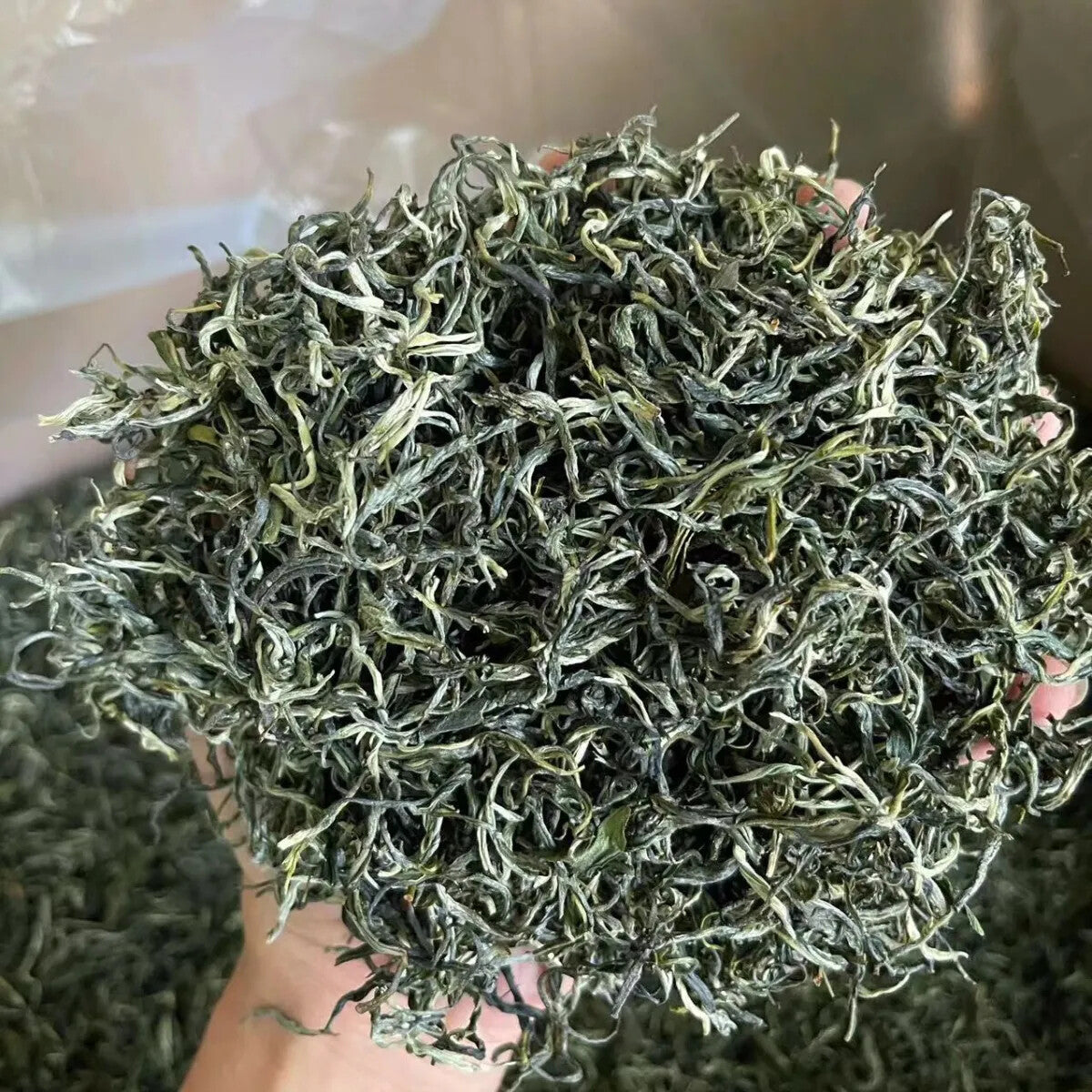 Xinyang Maojian Green Tea Premium Fresh Natural Loose Leaf Healthy Slimming