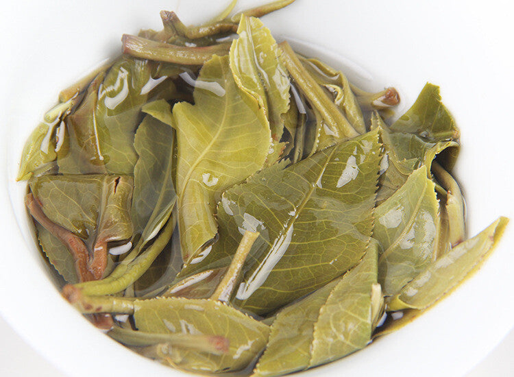 Yunnan Iceland Collection Pu'er Raw Tea 500g/Box Ancient Tree  Spring Tea