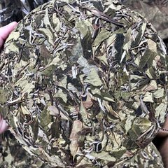 HelloYoung White Tea Barren Mountain Sun Tea Cake White Peony Tea Spring Tea Cake 350g